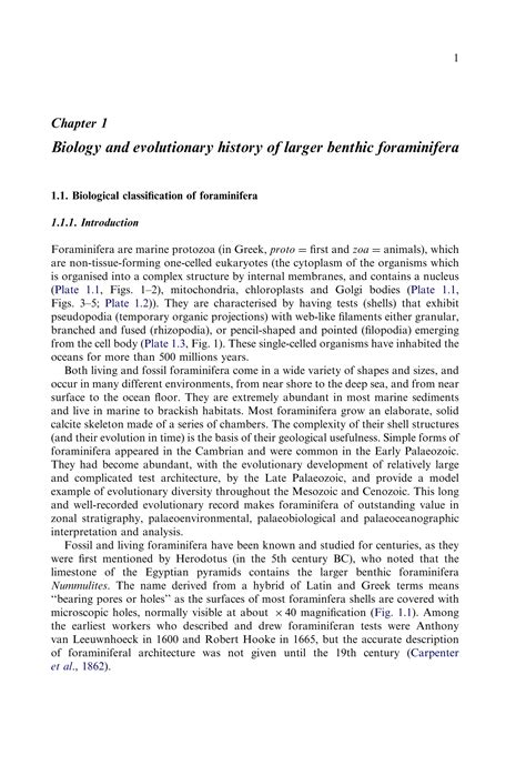 Evolution And Geological Significance Of Larger Benthic Foraminifera Mk Boudagherfadel Eds | PDF
