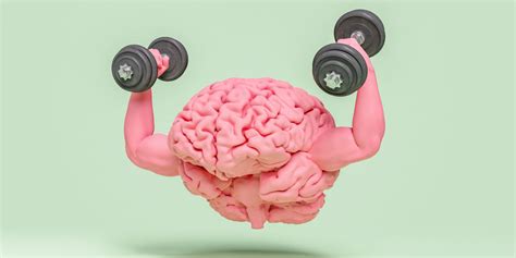 Image result for Neuroplasticity Exercises