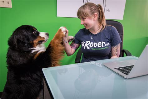 Rover.com Las Vegas Dog Sitters | Dogs, Rover.com, Pet sitting services