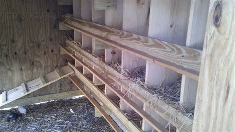 Nesting box dimensions??? | BackYard Chickens - Learn How to Raise Chickens