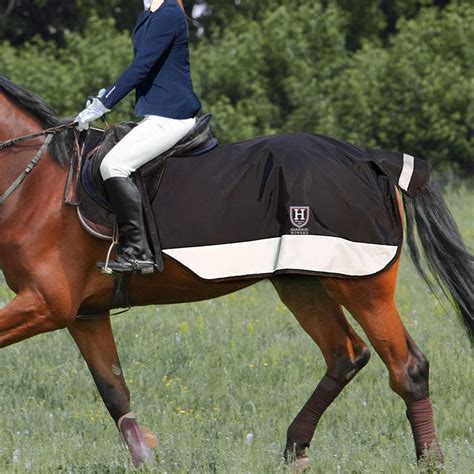 Harrison Howard Alpine Horse Exercise Sheet - India | Ubuy