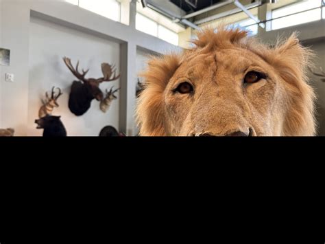 Family Science Festival