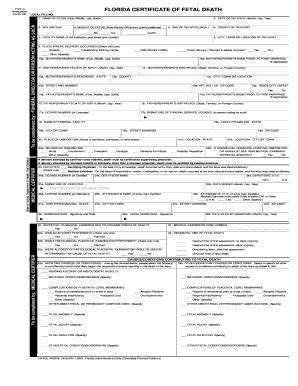 Fillable Online FLORIDA CERTIFICATE OF FETAL DEATH Fax Email Print ...