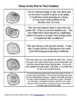 Image result for Growth Tree Object Lesson CEF