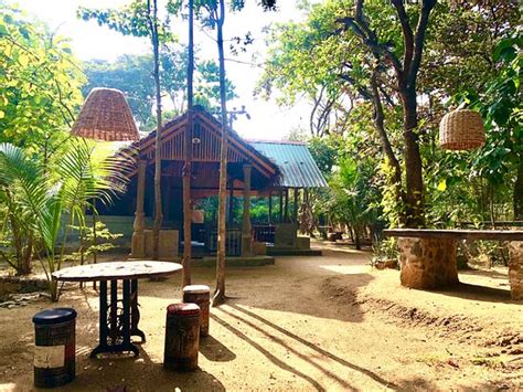 Freshly cooked food pleasant location - Reviews, Photos - Chill & Swing ...