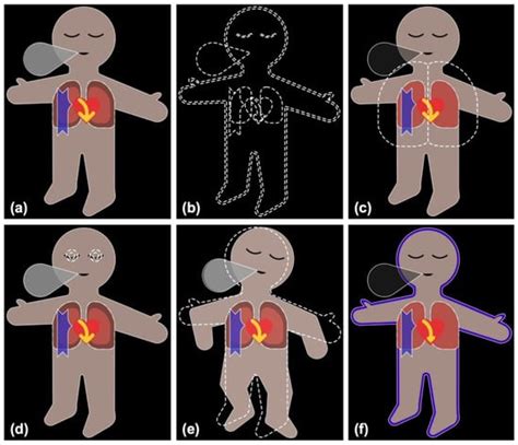 Using Visual Patient to Show Vital Sign Predictions, a Computer-Based ...