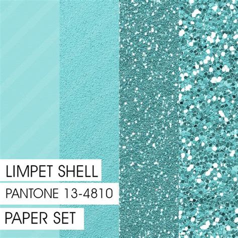 Image result for Limpet Shell Color
