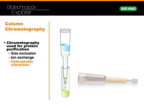 Image result for Purifying GFP Using Column Chromatography
