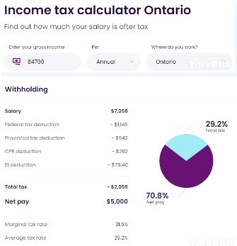 税后月收入五千 在加拿大买不起房养不起家-新闻中心-温哥华港湾（电脑版）
