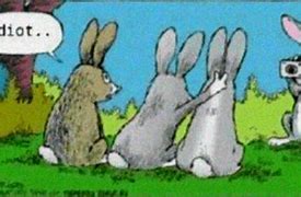Image result for Happy Easter Funny Bunny