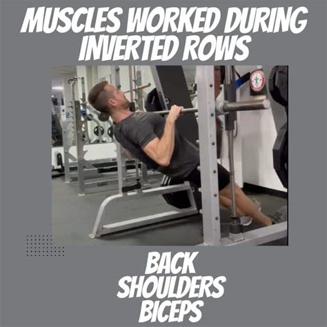 Image result for Inverted Row Muscles