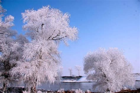 新疆富蕴可可托海雾凇美景如画 吸引众多游客