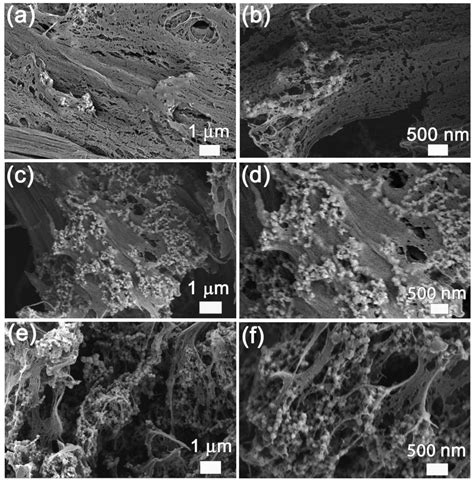 A CuNi-Loaded Porous Magnetic Soft Material: Preparation ...