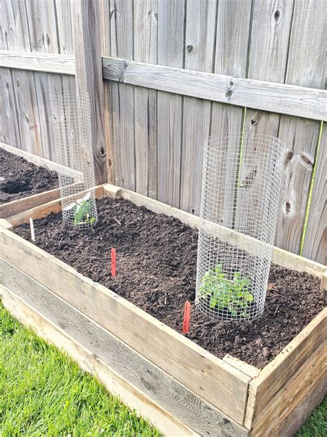 How To Make Raised Garden Bed With Pallets at Samuel Goggins blog