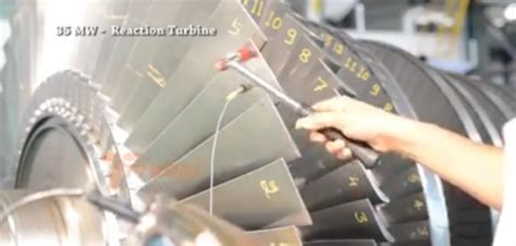 Council of Vibration Specialists