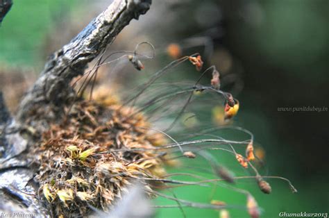 A Macro Ride to Kas Plateau