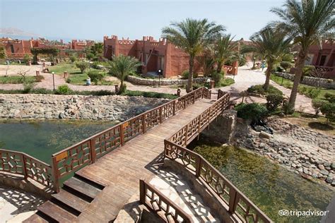 HAUZA BEACH RESORT (Sharm El Sheikh/Nabq Bay, Egypt) - Resort Reviews ...