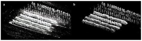 UAV Photogrammetry-Based Apple Orchard Blossom Density Estimation and ...