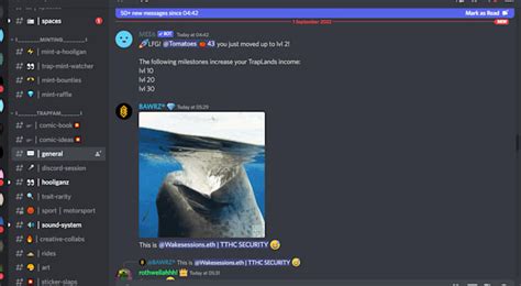 Image result for Discord Basic