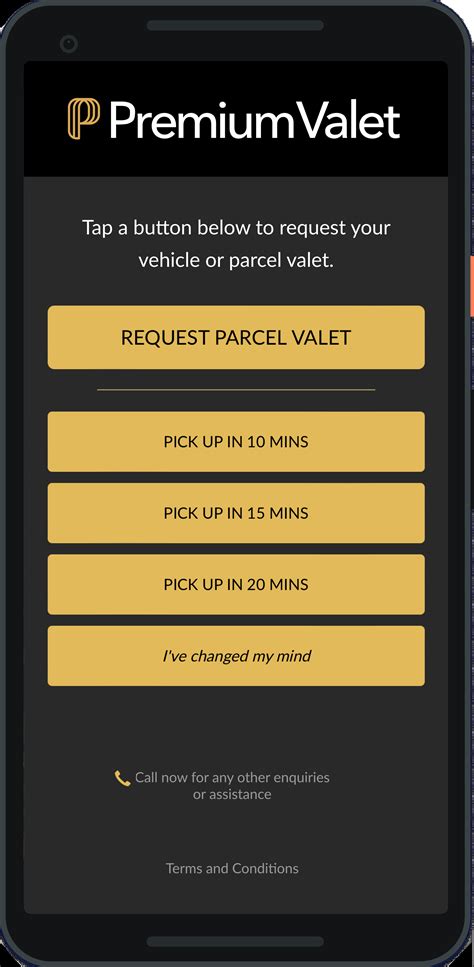 How to Program Valet Remote 的图像结果