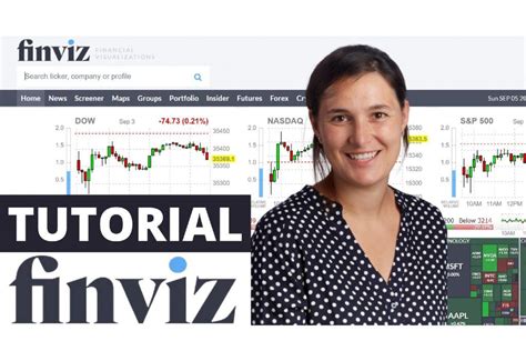 Finviz API Tutorials 的图像结果