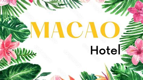 HOTEL MACAO (Jardin) - Guesthouse Reviews, Photos, Rate Comparison ...