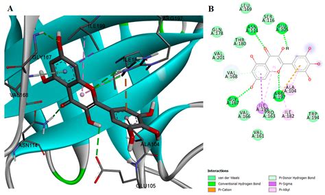 Molecular Docking and Screening Studies of New Natural Sortase A Inhibitors