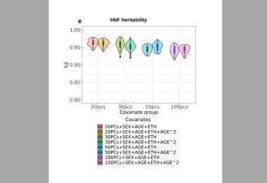 New Genetic Target Found for Sickle Cell Treatment | Mirage News
