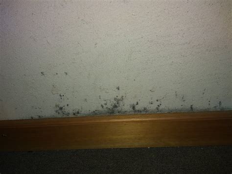 HOSTERIA SUR (San Carlos de Bariloche) - Inn Reviews, Photos, Rate ...