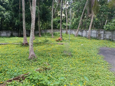 thrissurpropertysale.com | Thrissur Property Sales, Builders, Direct ...