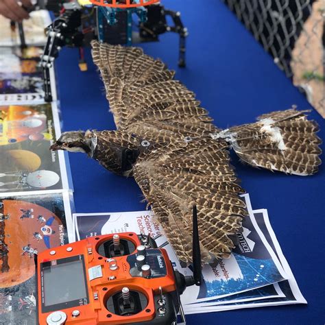 New Mexico professor turns dead birds into drones - Narrative News