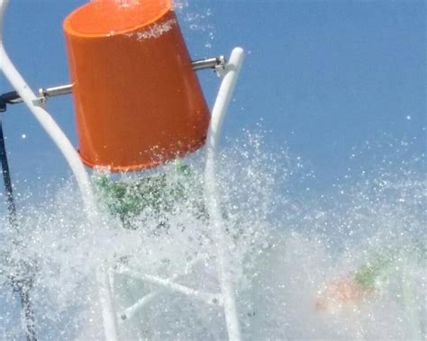 THE 30 BEST Places to Visit in Cumming (2025) - Must-See Attractions