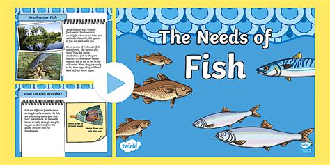 The Needs of Fish PowerPoint