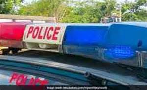 Scolded over watching cartoons, Himachal girl, 7, leaves home: Cops