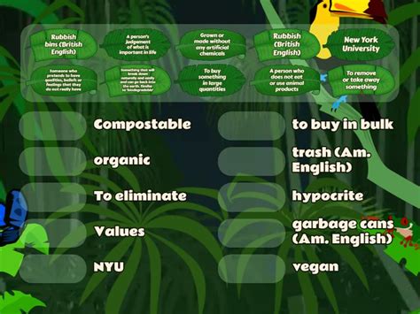 Image result for Zero Waste Girl