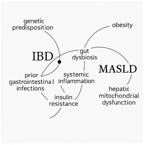 Exploring the Overlap of MASLD and IBD: Insights from a Single-Center ...