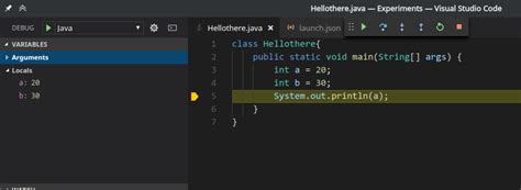Image result for Debugger for Java Extension