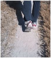 Friction Class 8 Notes Science Chapter 9 Free PDF