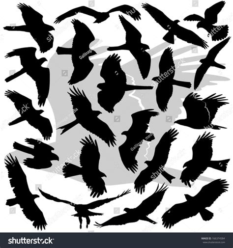52,923 Hawk Silhouette Images, Stock Photos & Vectors | Shutterstock