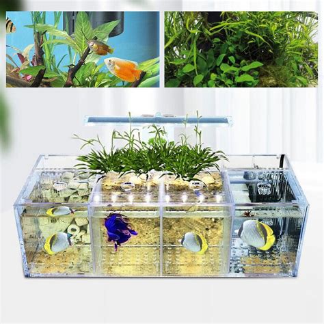 Aquaponics Fish Tank