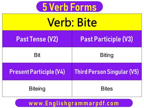 Bite V1 V2 V3 V4 V5 Forms Bite Past Tense And Past Participle - Form ...