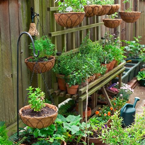How To Start A Container Herb Garden at Eve Collie blog