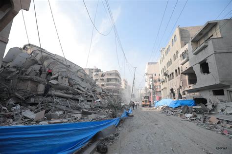 Without Israel's Oppression of Palestinians, Hamas Terrorism Would Have ...