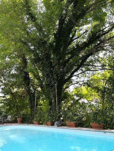 La Puertecita Boutique Hotel Pool: Pictures & Reviews - Tripadvisor