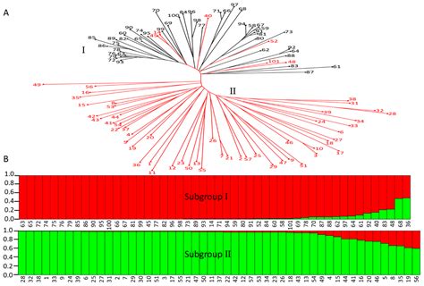 Determination of Predominant Organic Acid Components in Malus Species ...