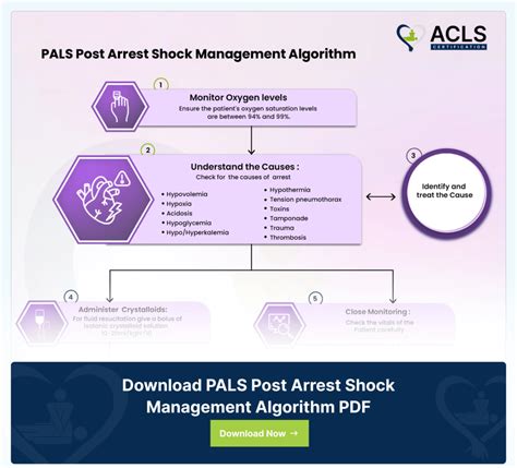 Image result for Pals Blood Pressure Algorithm