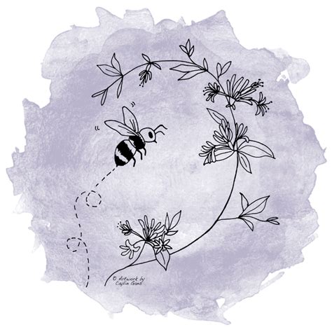 Image result for Nature Program Flow