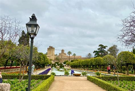 Best of Cordoba Guided Tour 2022 - Viator