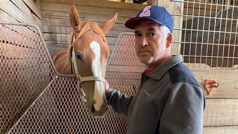 Ranch Horse Breeds: The Backbone Of The American West