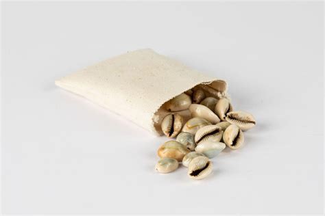 Image result for How to Design a Bag Using Cowrie Shells